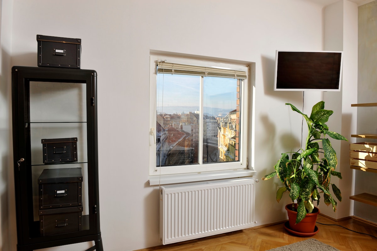 Funky Town  Penthouse - Photo 13