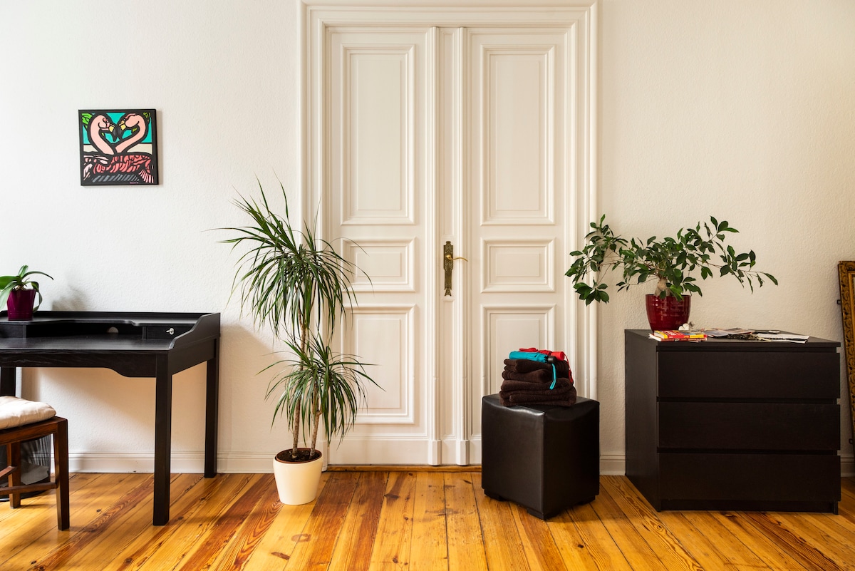 Sunny, elegant centre flat, high ceilings - Photo 13