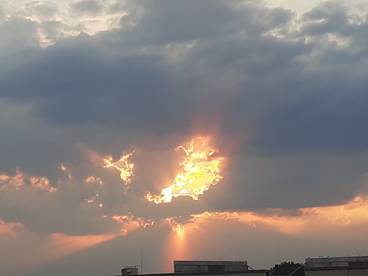 Sunny, elegant centre flat, high ceilings - Photo 33