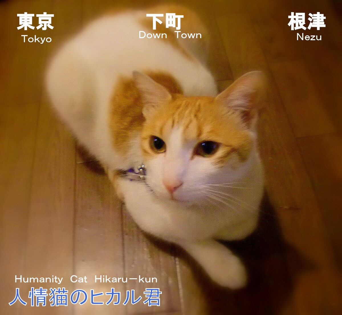 Tokyo Nezu Stained Glass Museum & Guest House (Since 2019) - Photo 16